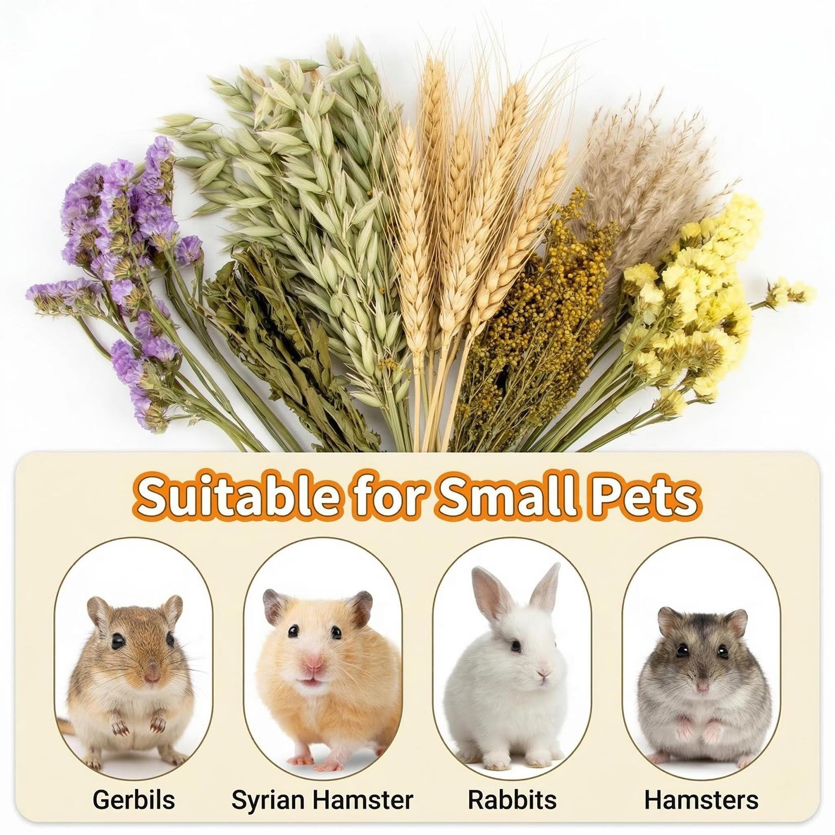 Sukh detalles decorativos flores amables: ideal para enriquecer el hábitat de mascotas pequeñas.