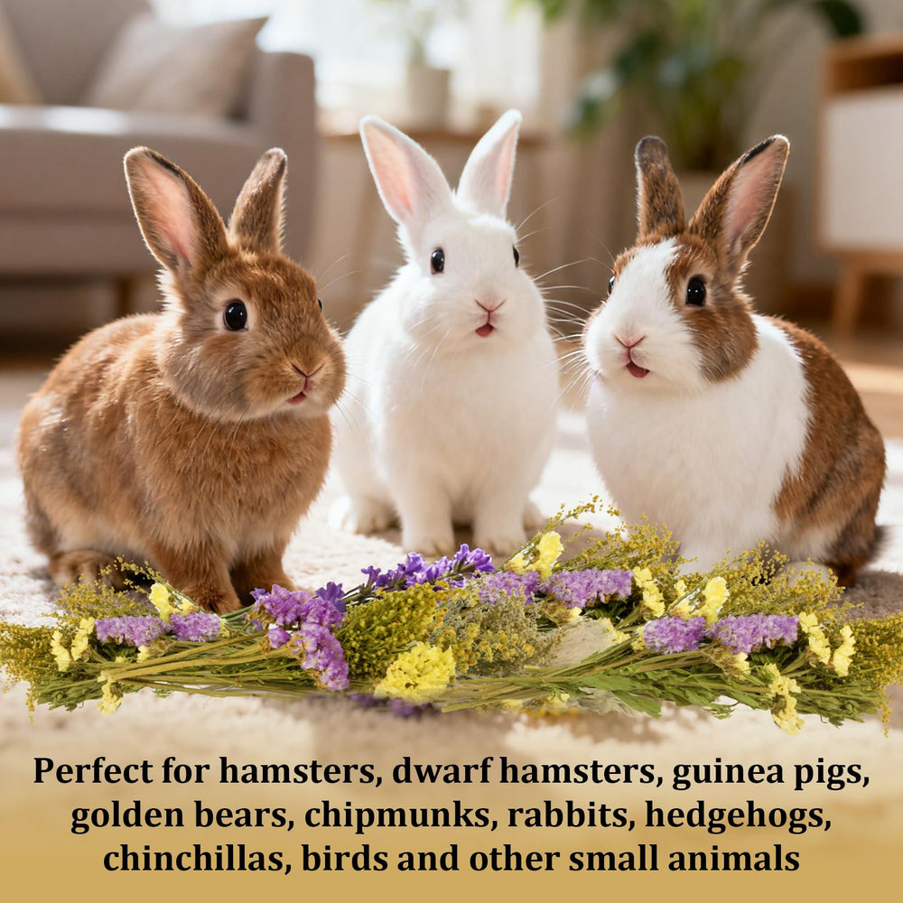 Sukh empaque hierbas y flores para hábitats: almacenamiento práctico y uso en decoraciones.