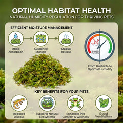 Sukh musgo esfagno mantiene humedad estable, ideal para muda y confort en terrario