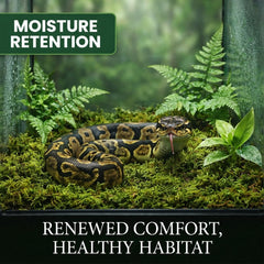 Sukh musgo esfagno, nido suave para reptiles y refugio natural