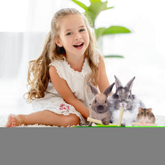 Palitos de bambú para roer natural en jaula de mascotas.