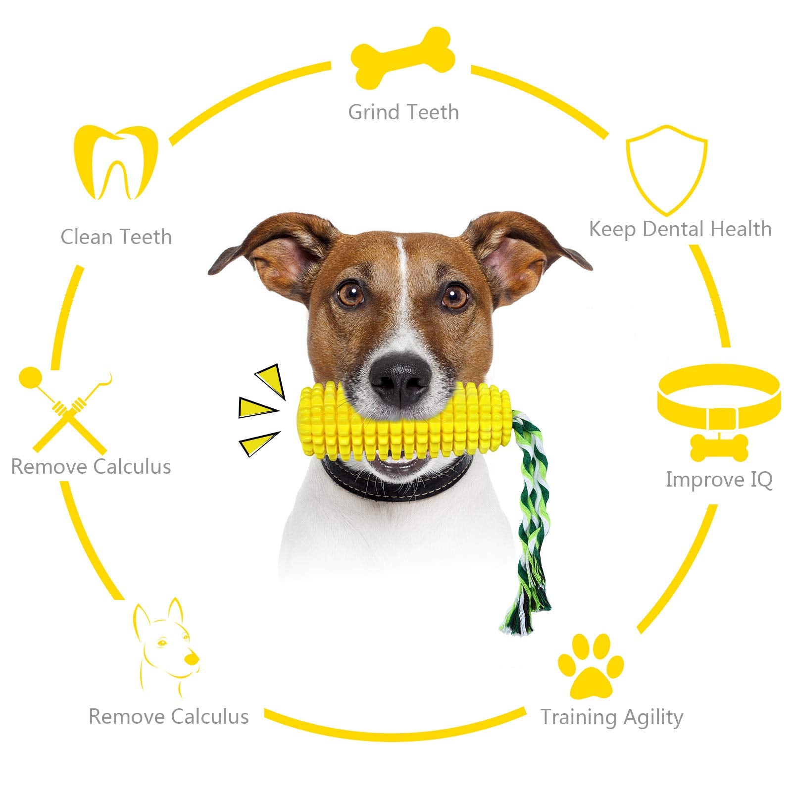 Sumind Juguete Perro Juego Tira: ideal para jugar a tirar y traer.