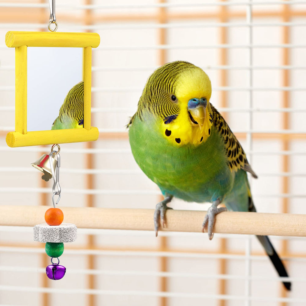 Sumind materiales seguros de madera y acrílico para aves curiosas.