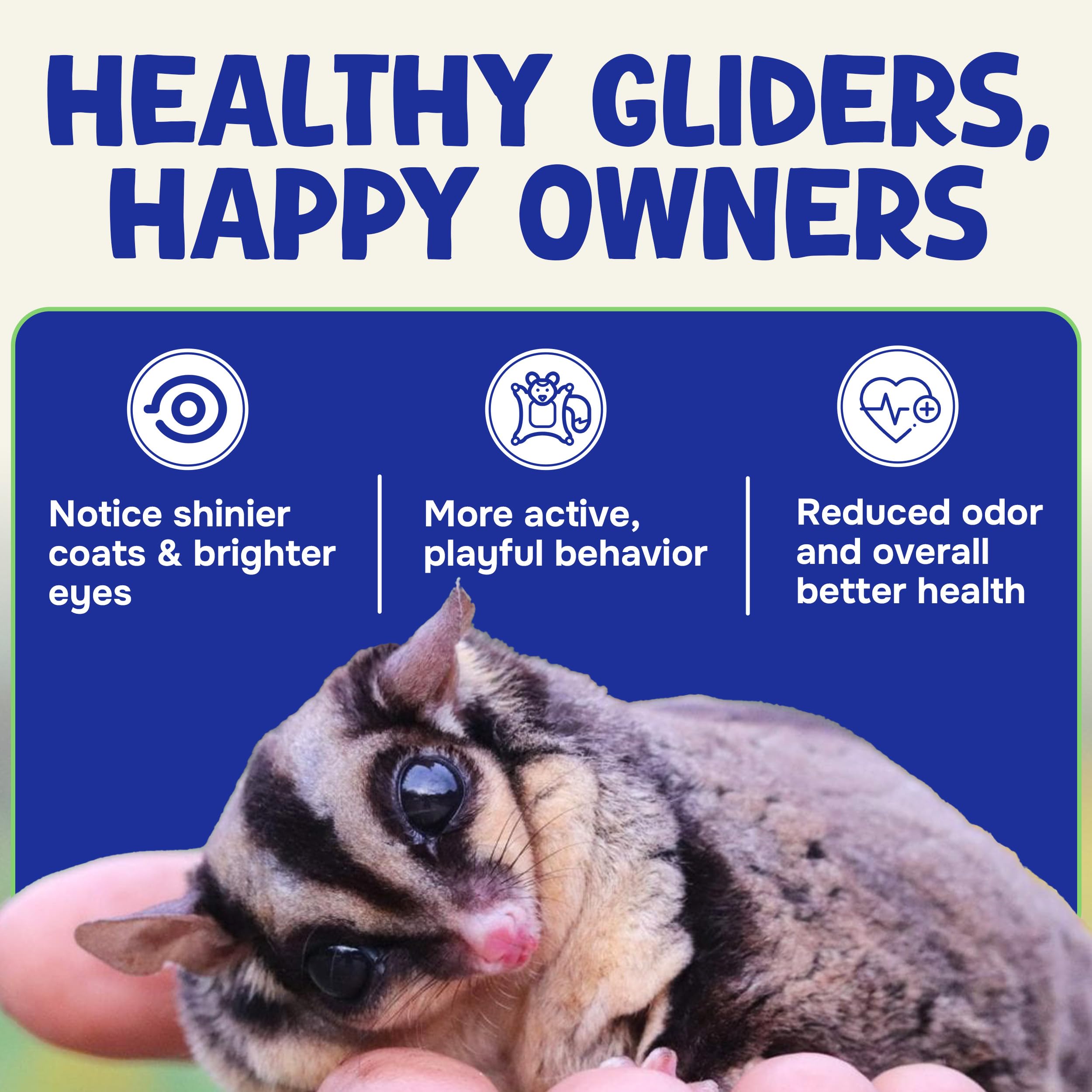 Suncoast Sugar Gliders dieta diaria completa, apoyo de nutrientes esenciales