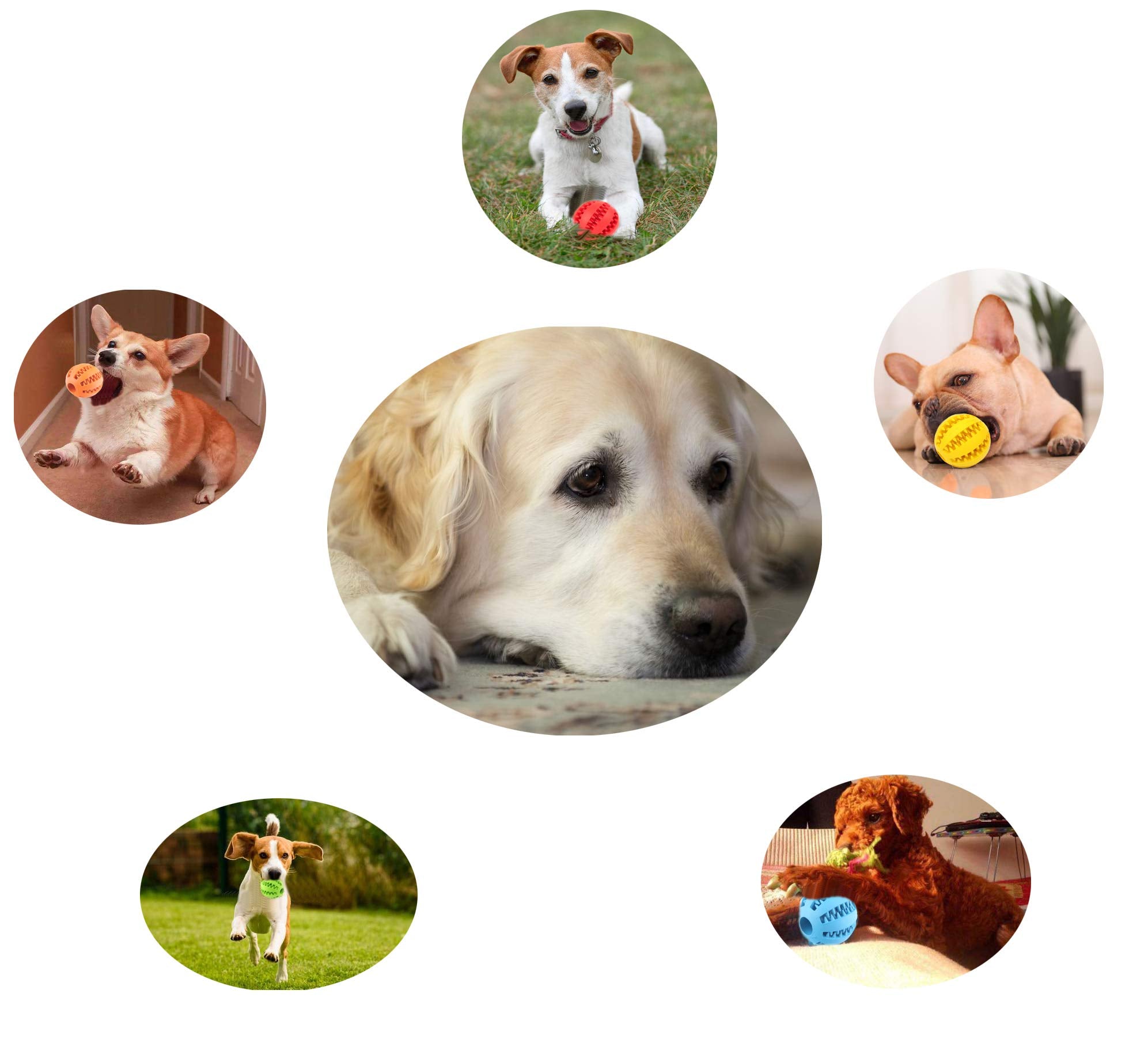 Sunglow: juguete de entrenamiento de inteligencia para perros facilita tareas.