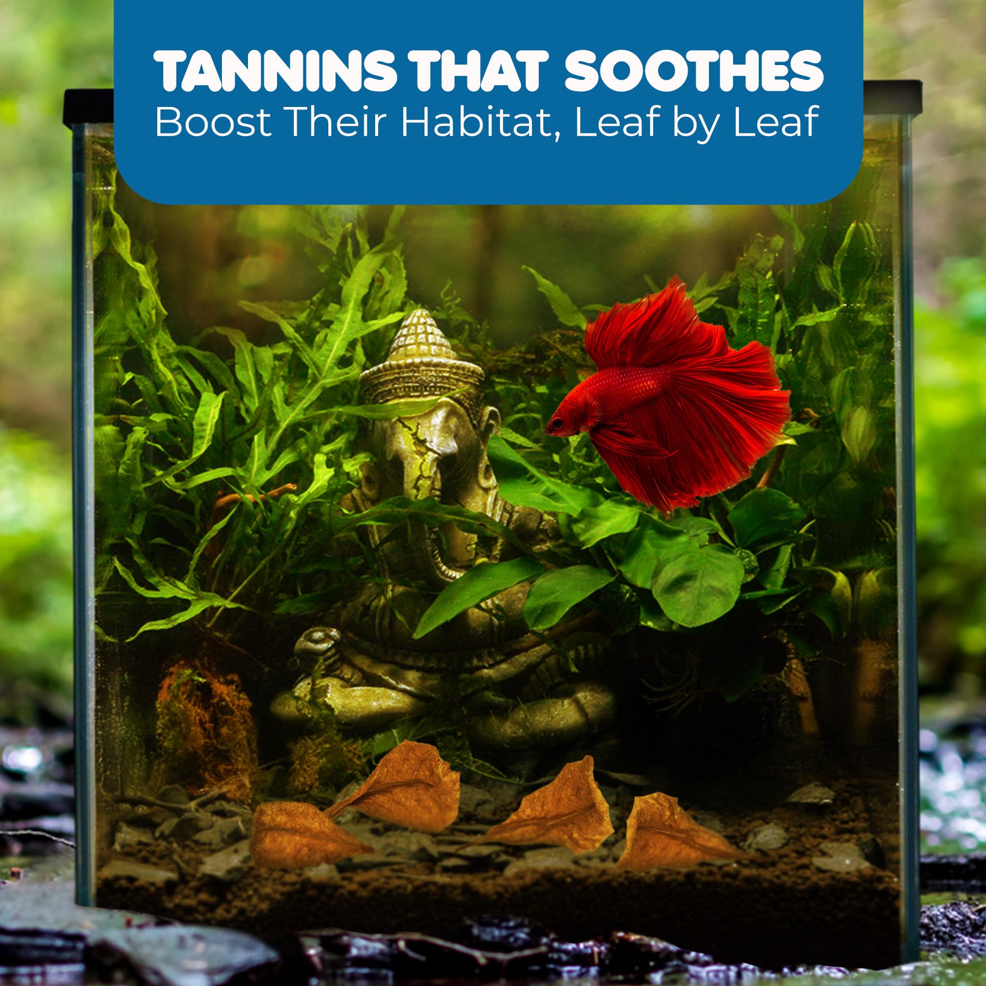 Acuario con hojas para Betta SunGrow