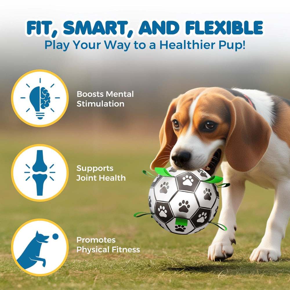 SunGrow balón con asas para perros, facilita agarre y diversión prolongada.