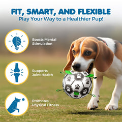SunGrow balón con asas para perros, facilita agarre y diversión prolongada.