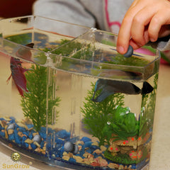 SunGrow Betta Balls: favorece la actividad y movilidad de peces betta