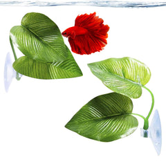 SunGrow Betta, hoja doble colgante, descanso cómodo y seguro para bettas en acuario.