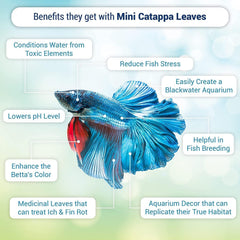 SunGrow Betta nido con hojas Catappa, mejora el entorno del acuario