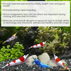 SunGrow rocas aportando claridad del agua por minerales esenciales.