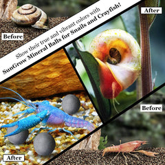 SunGrow mejora coloración de invertebrados con bolas coloridas