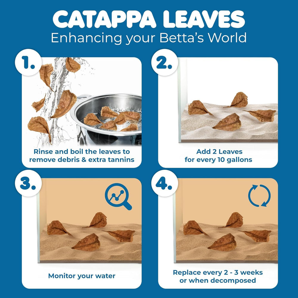 SunGrow Decoración natural para acuario con hojas Catappa