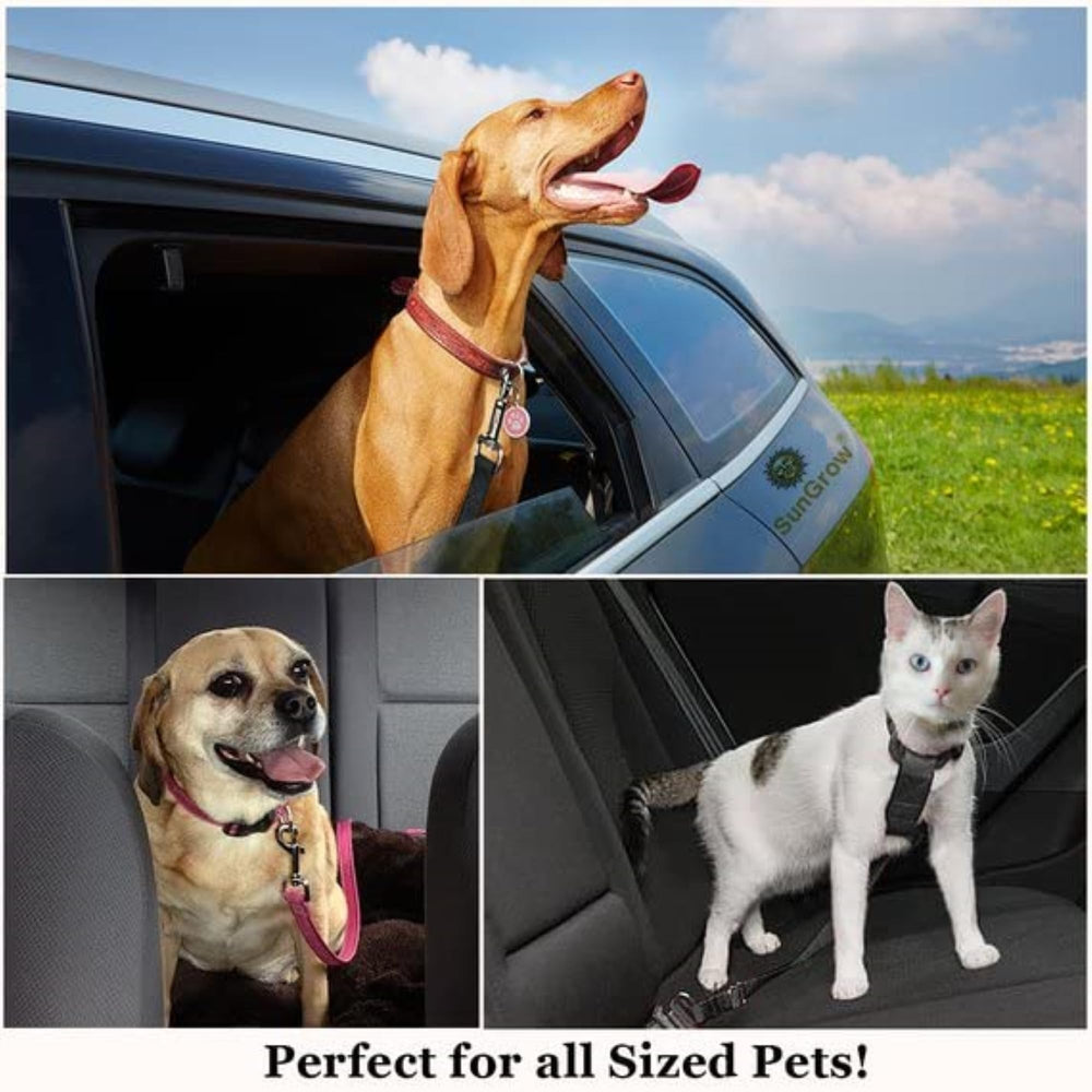 SunGrow dos-correas-en-pack ideal para mascotas pequeñas y medianas.