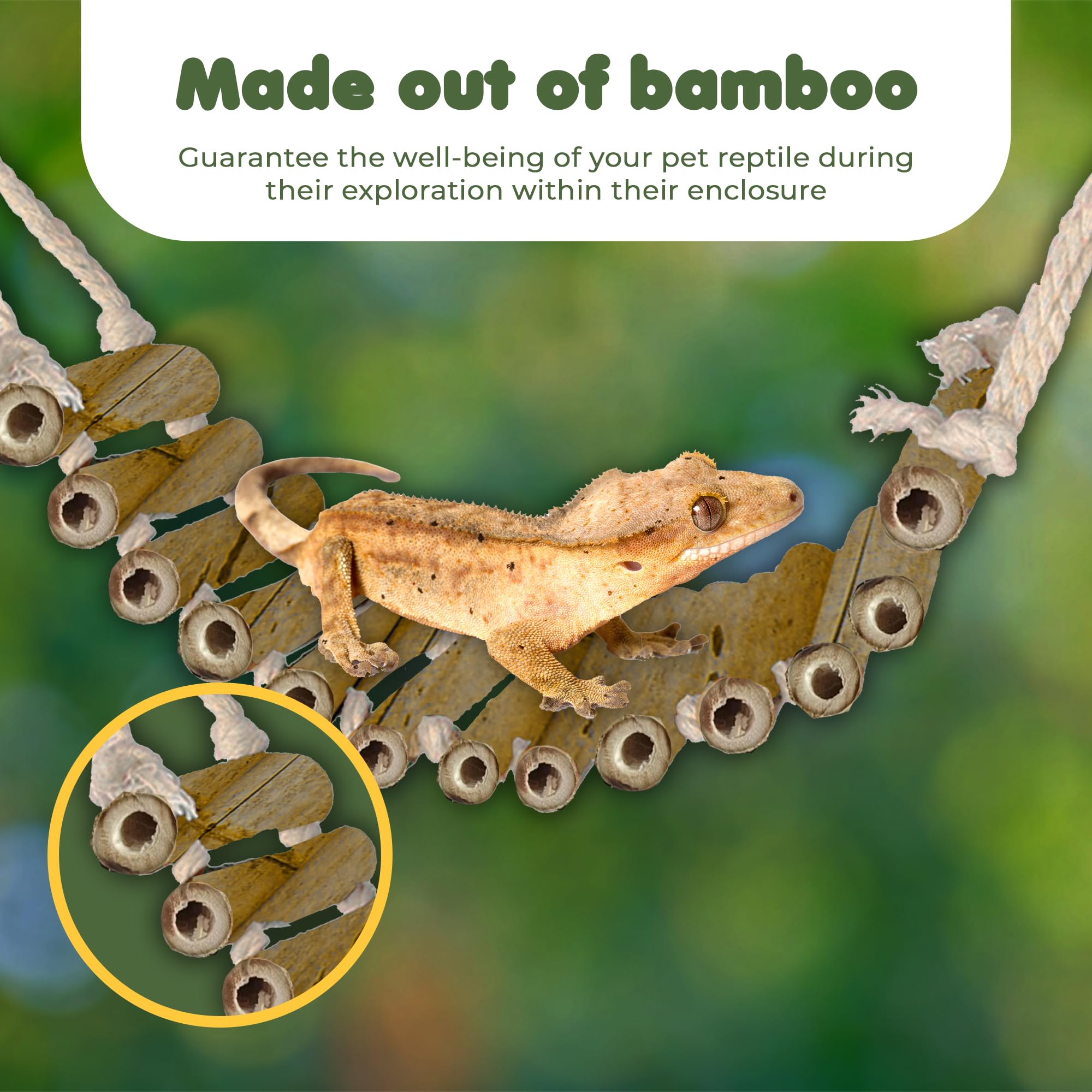 SunGrow escalera de bambú para reptiles, ayuda a trepar con suavidad.