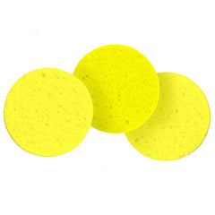 SunGrow esponjas para cangrejos ermitaños mantienen la humedad del hábitat.