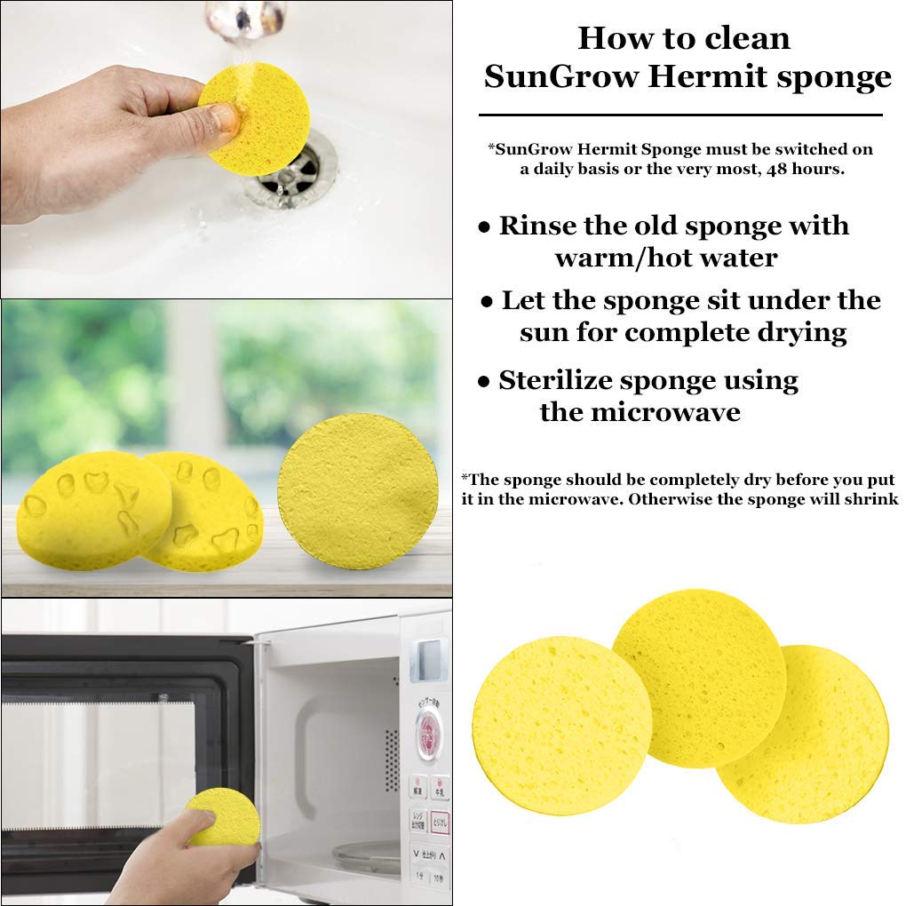 Esponjas SunGrow en cuenco de agua, acceso fácil para mojarse.
