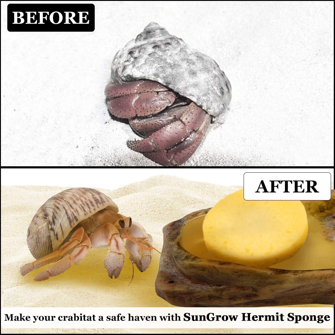 SunGrow esponjas utilizadas como limpieza suave en la cocina.