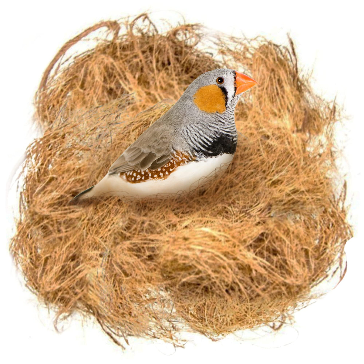SunGrow fibra de coco para aves en nidos, material seguro y no tóxico