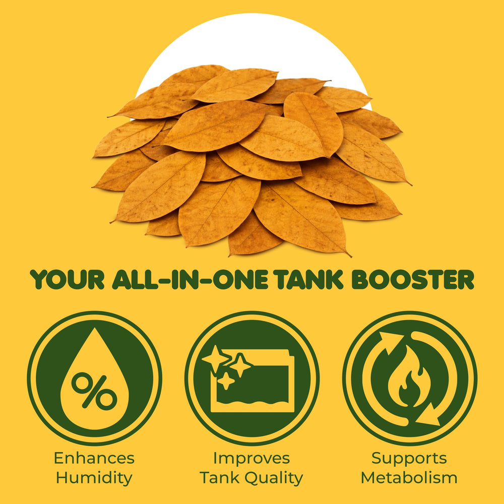 SunGrow hojas para acuario promueven entorno natural para crustáceos
