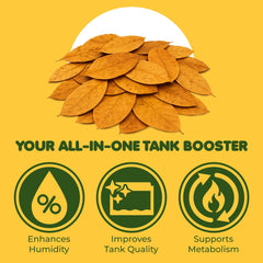 SunGrow hojas para acuario promueven entorno natural para crustáceos