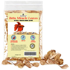 SunGrow Hojas Catappa en acuario: fomentan nido de betta y refugio natural