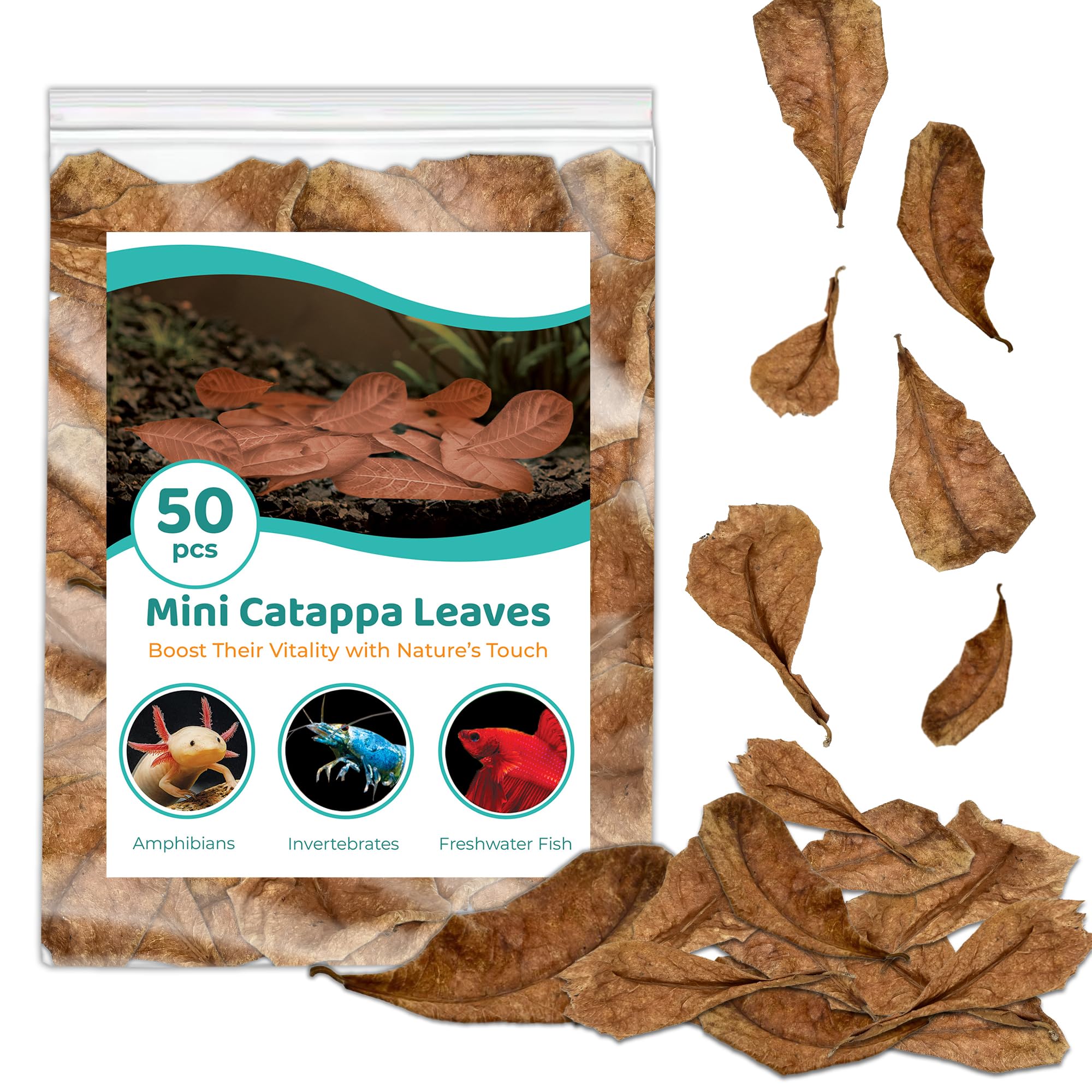 SunGrow hojas Catappa indias detalle: hojas naturales para un acuario más relajante