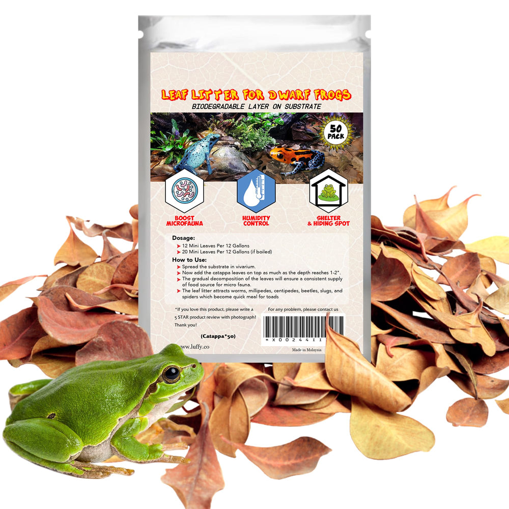 SunGrow Hojas Catappa mini para acuario, 50 unidades listas para sustrato