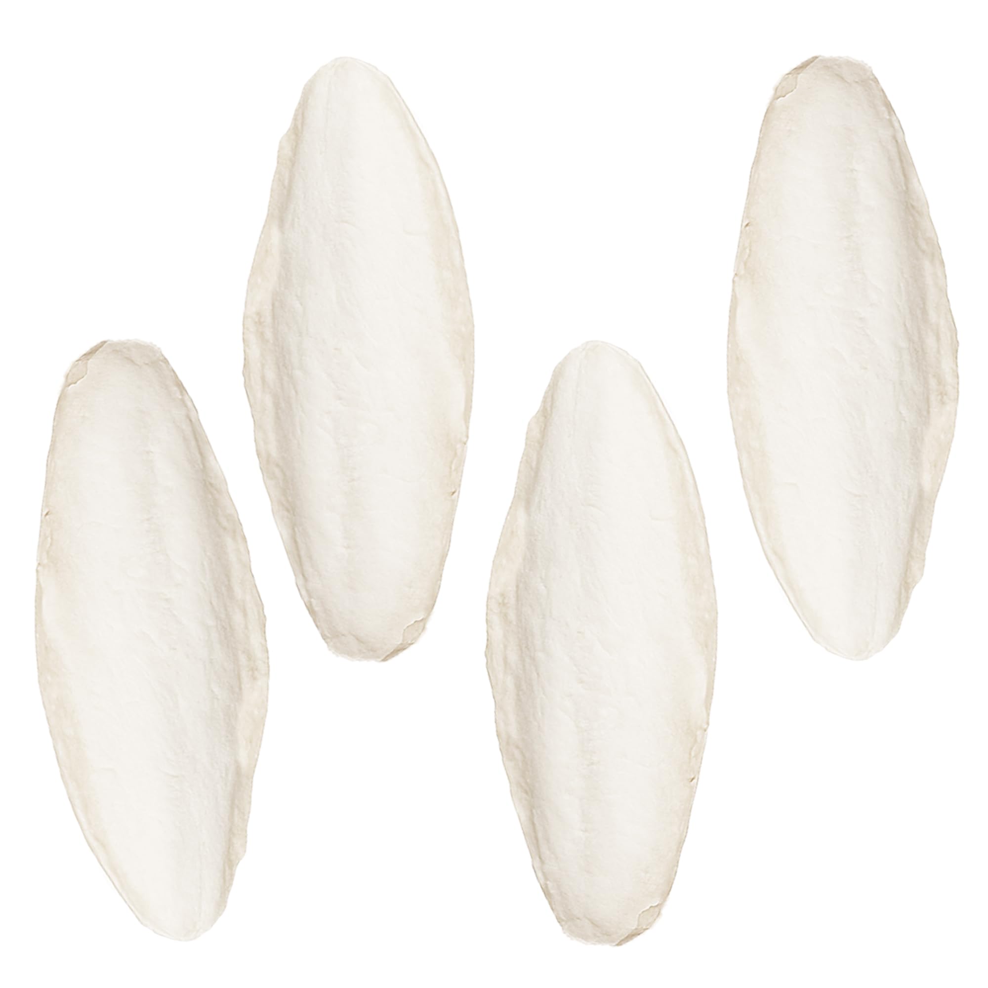 SunGrow hueso de sepia grande 15 cm en jaula mejora la salud ósea de las aves