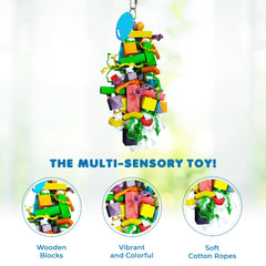 SunGrow conjunto de bloques multicolor favorece la actividad física y mental.