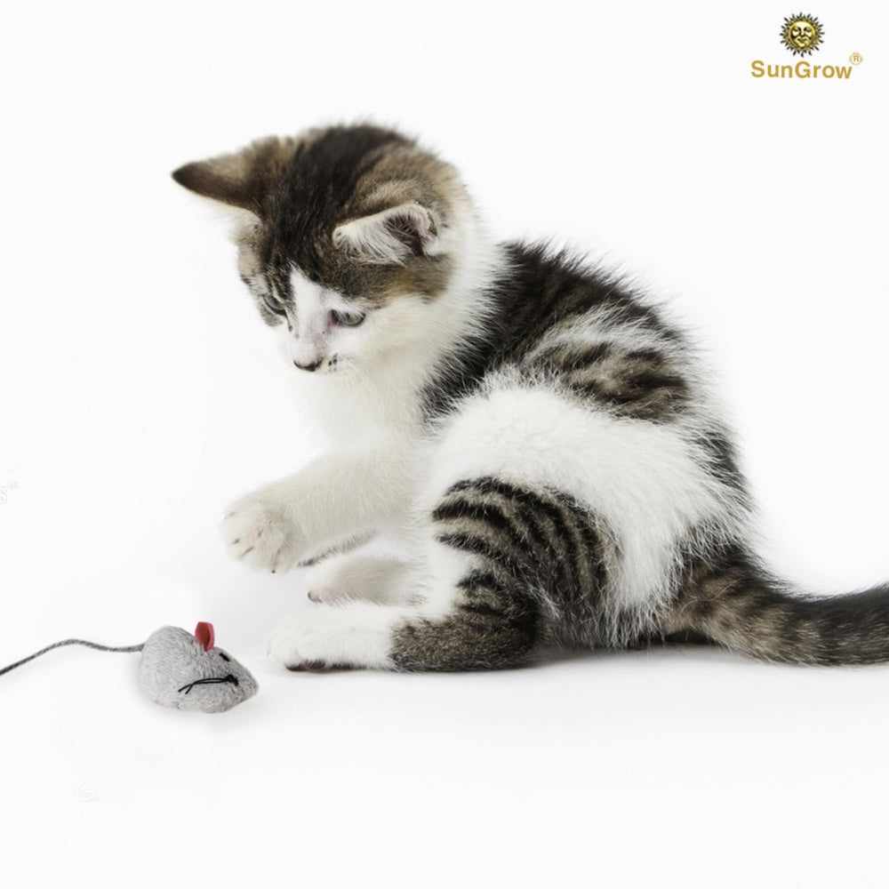 SunGrow juguete ratón para gatos interactivo favorece la caza
