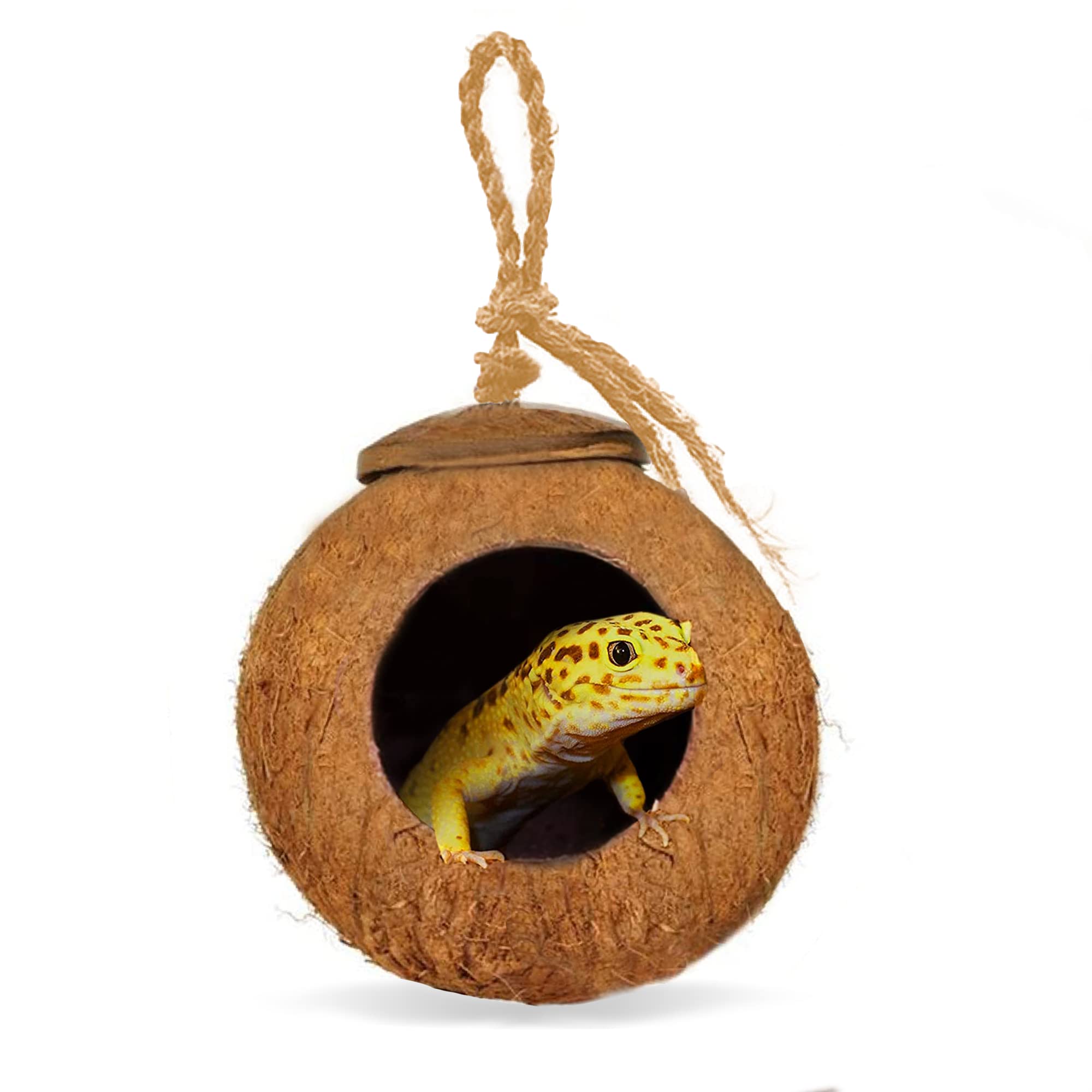 SunGrow Coco Hut para lagarto leopardo, vista frontal, refugio seguro y cómodo.