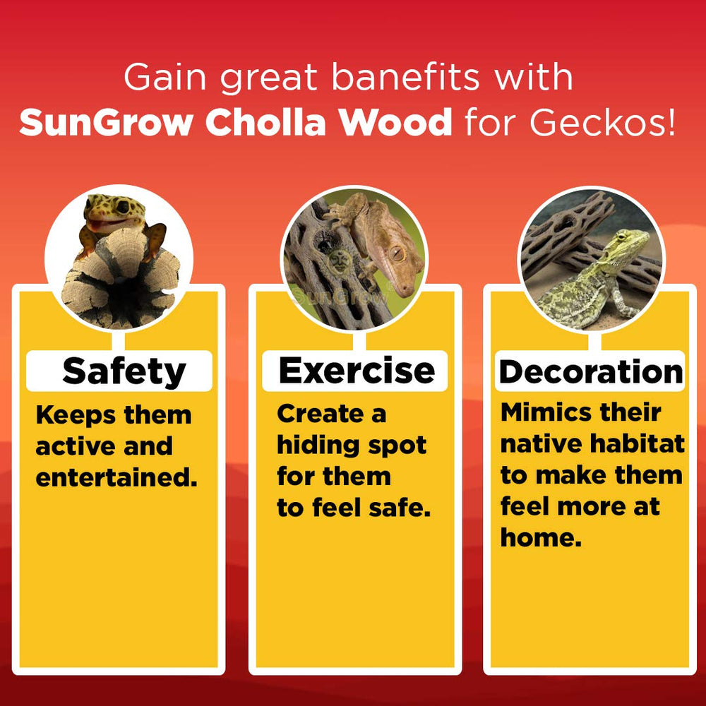 SunGrow Madera cholla gecko leopardo, 5 pulgadas, refugio seguro para reptiles asustadizos