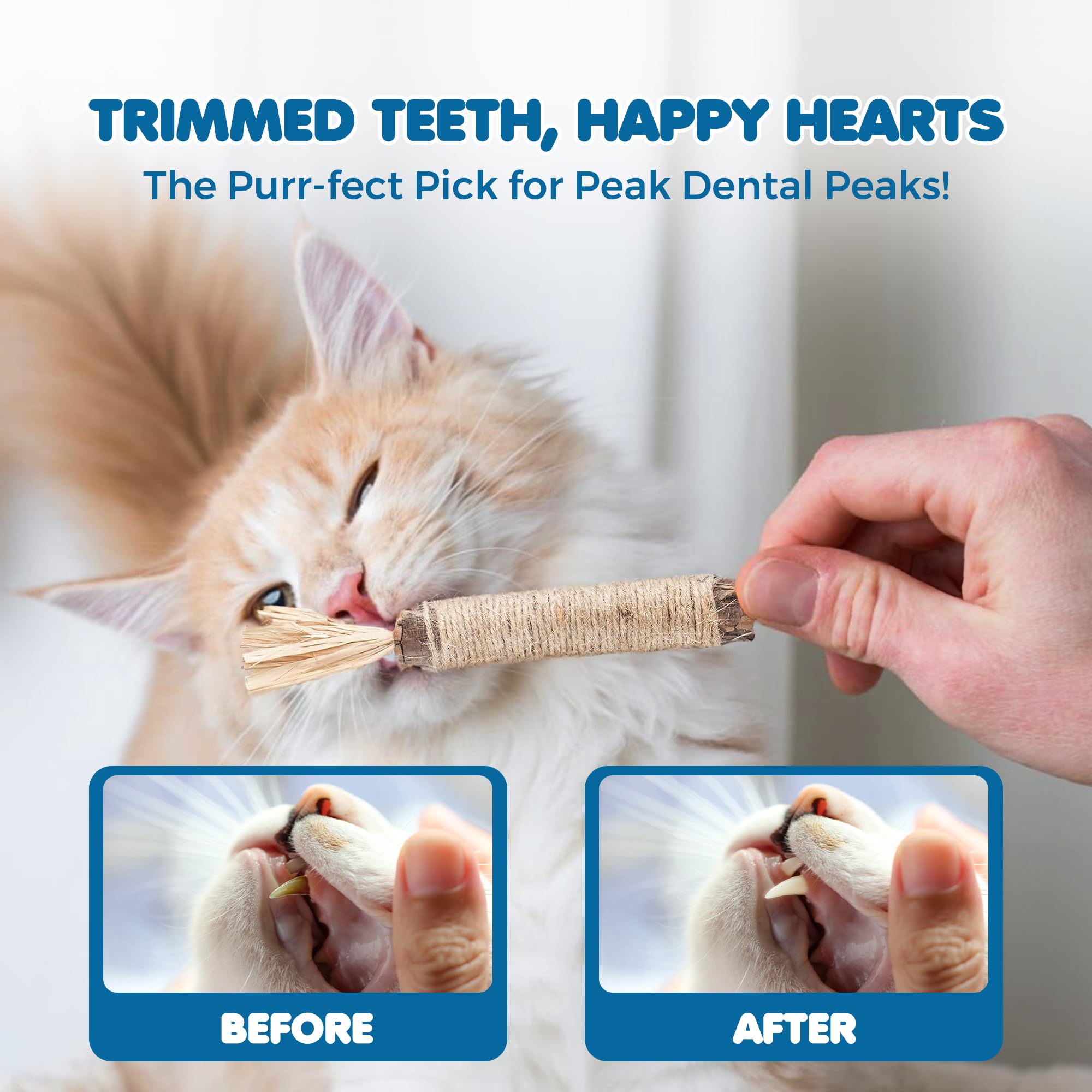 SunGrow merienda dental silvervine para conejos, ayuda a la dentición.