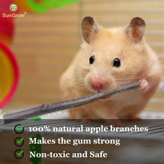 SunGrow Palos de manzana para chinchillas: estimulan curiosidad y exploración.