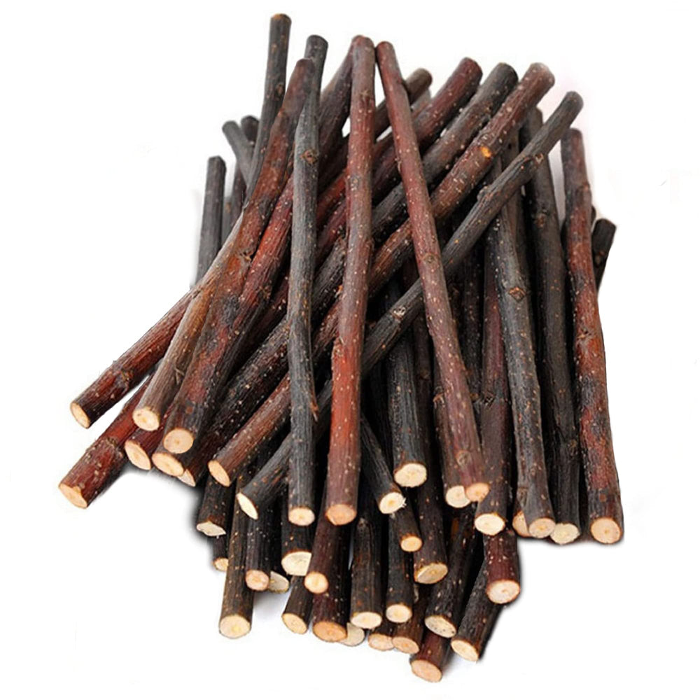 SunGrow Palos de manzana para conejos: masticación natural y entretenimiento.