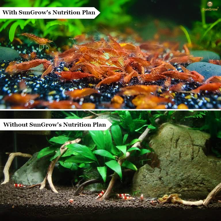 SunGrow promueve reproducción gambas: ambiente estable