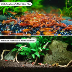 SunGrow promueve reproducción gambas: ambiente estable