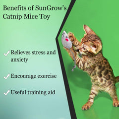 SunGrow ratón peluche con menta de gato para ejercicio diario