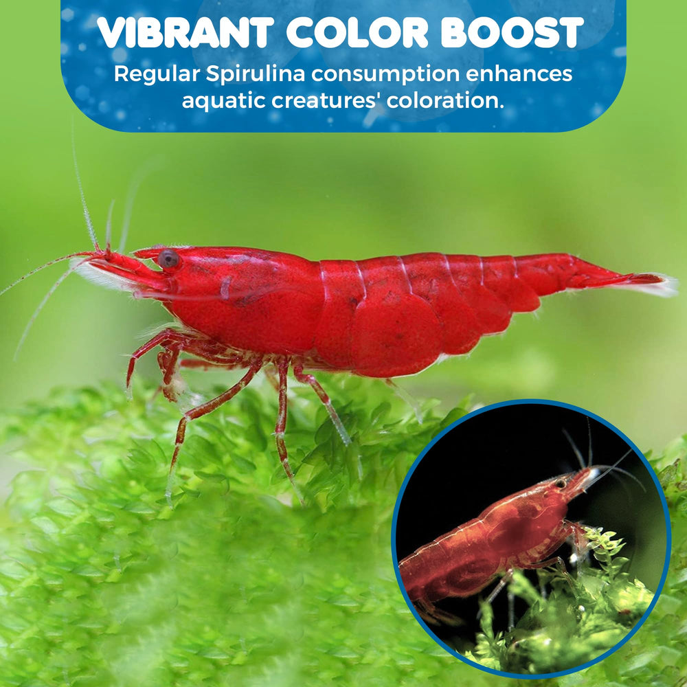 SunGrow reproducción camarones en acuario, mantiene ambiente propicio.