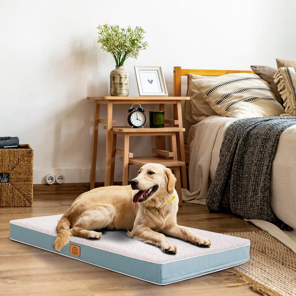 Sunheir cama para perro grande en sala de estar, opción ideal para descanso familiar