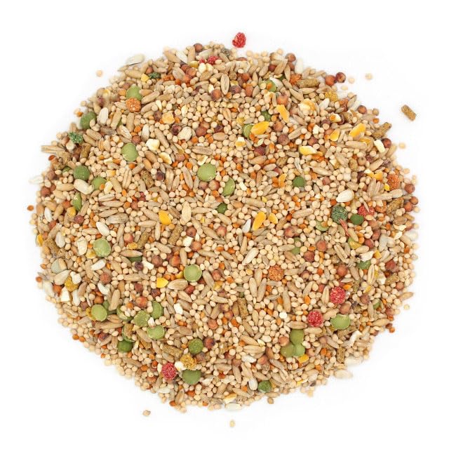 Sunseed palomas comiendo en jaula; nutriente para plumaje