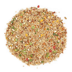 Sunseed palomas comiendo en jaula; nutriente para plumaje