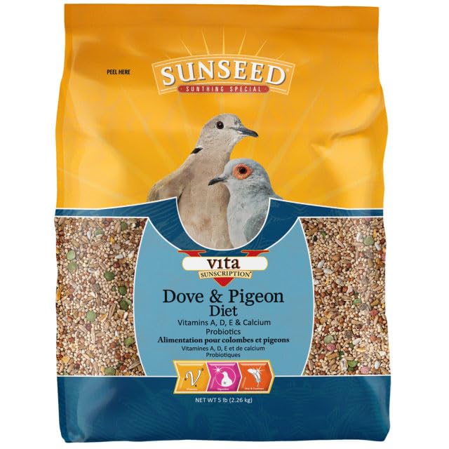 Sunseed tazón con alimento para palomas listo para alimentar diariamente