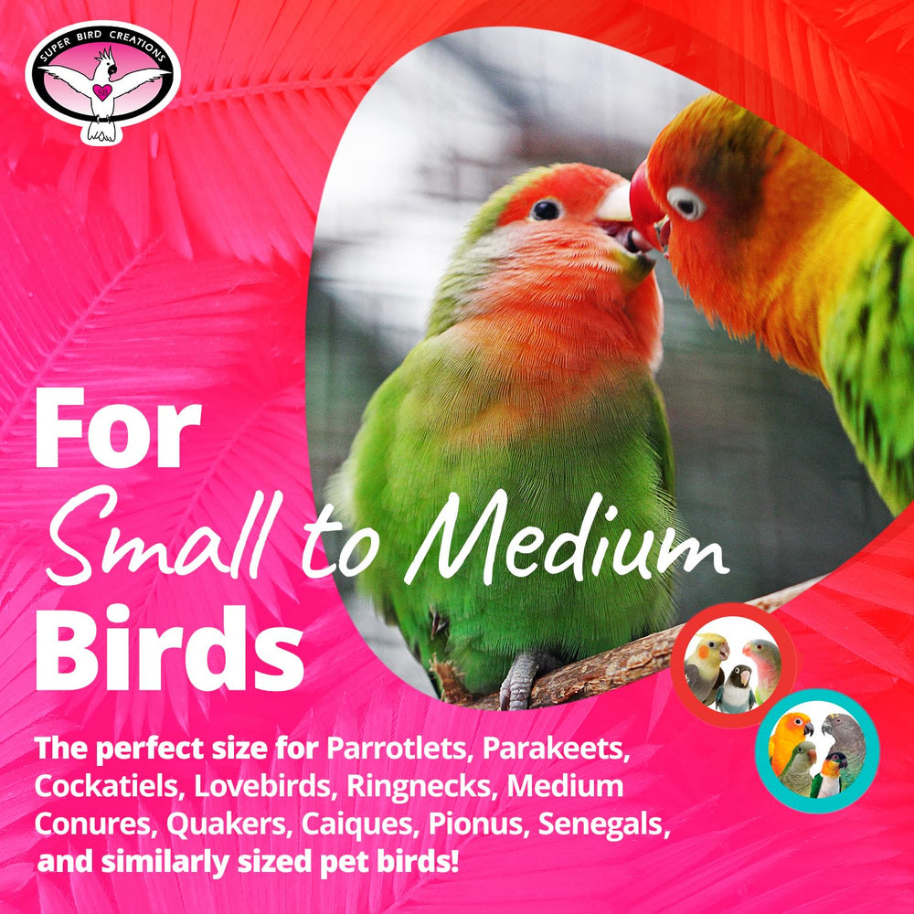 Juguete para aves de tamaño medio, fomenta dexteridad y exploración