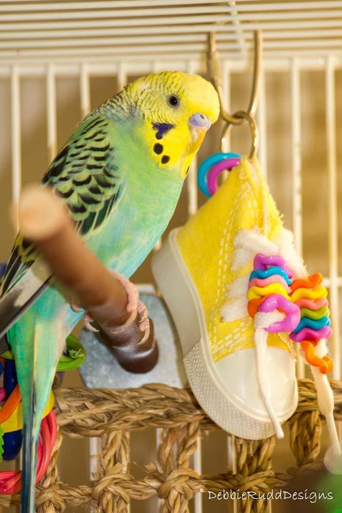 Diseño seguro para aves, elaborado en EE. UU. desde 1992.