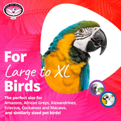 Super Bird Creations Willy Nilly XL, listones de pino, estimulan el mordisqueo seguro y la curiosidad.