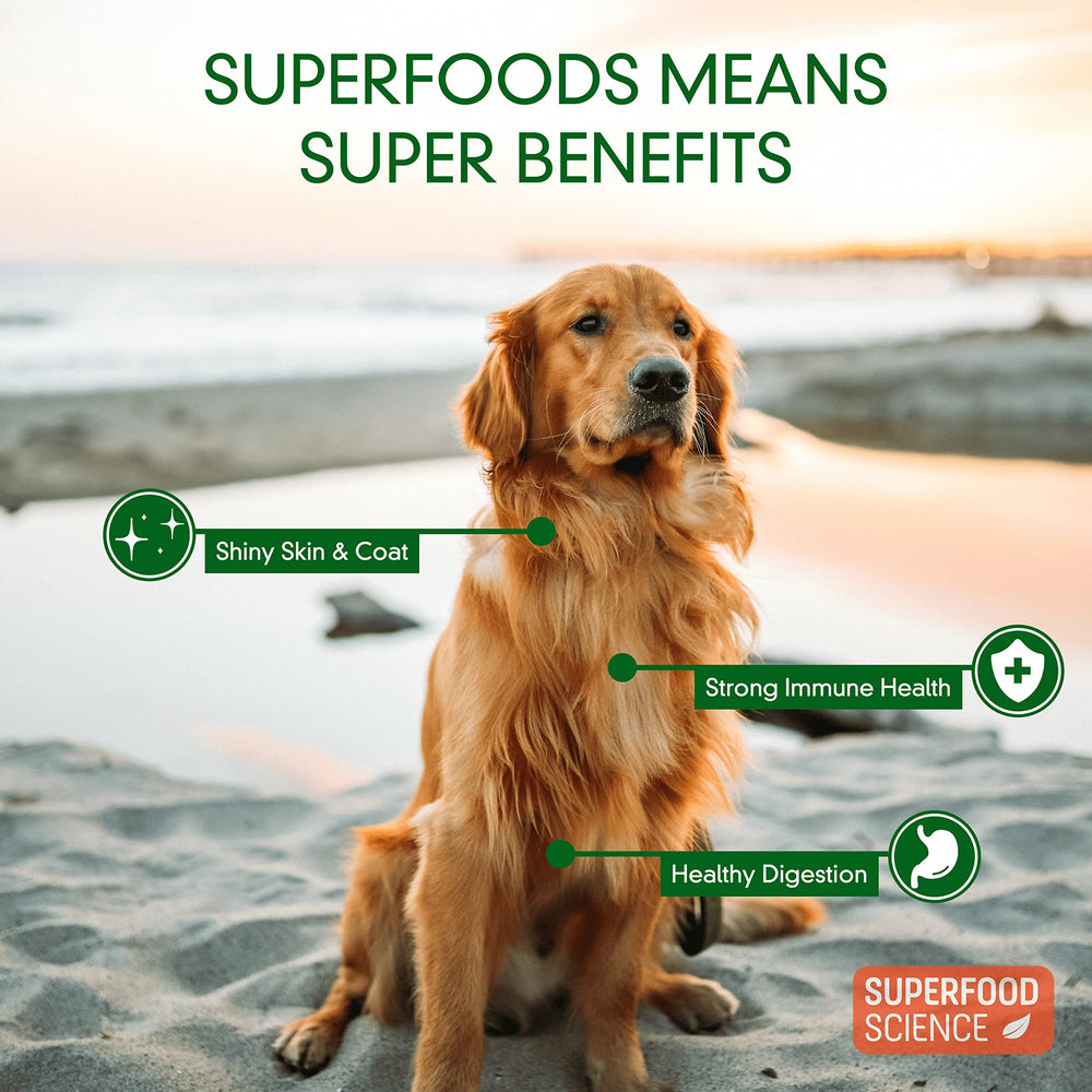 Friandises à faible calories sans céréales adaptées pour chiens actifs avec Superfood Science.