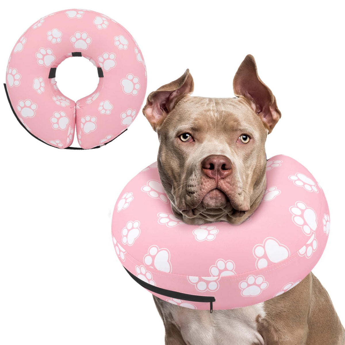Supet collar rosquilla inflable para perro en recuperación.